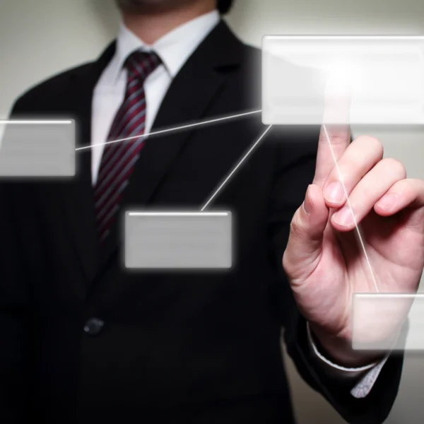 Organizational Structure & Operating Model Design